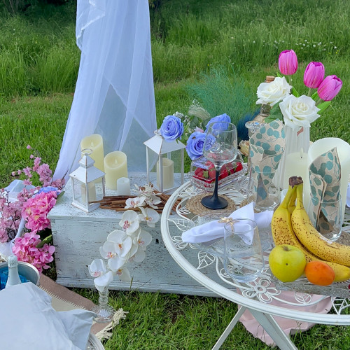 Пикник за четирима